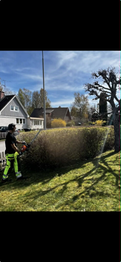 Häckklippning